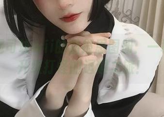 翻开起司块wii的猫报恩图册：一场猫咪升级打怪的逗趣之旅！